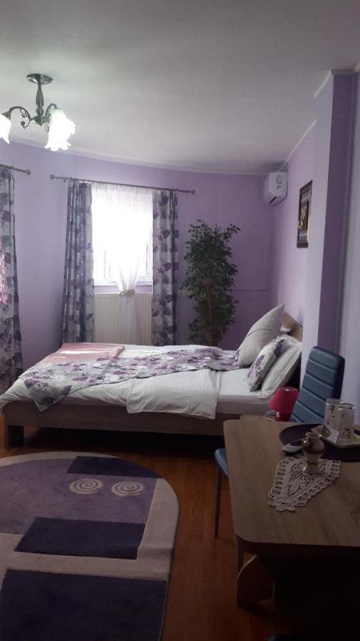 Hotel Casa Liana à Oradea Extérieur photo
