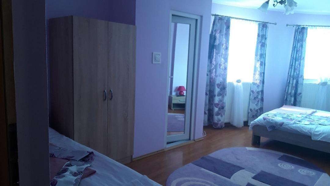 Hotel Casa Liana à Oradea Extérieur photo