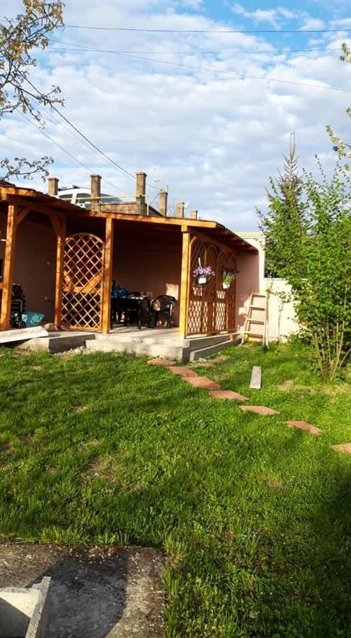 Hotel Casa Liana à Oradea Extérieur photo