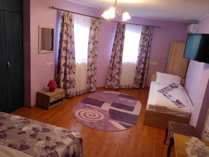 Hotel Casa Liana à Oradea Extérieur photo